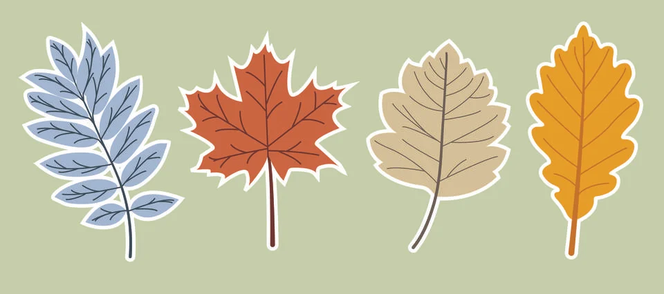 Hand drawn elements. Botanical leaves, flower. Seasonal banner. September fal Stock Illustration