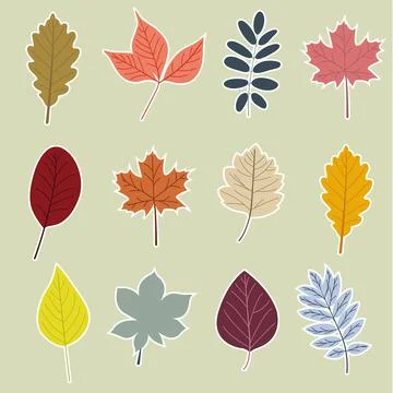 Hand drawn elements. Botanical leaves, flower. Seasonal banner. September fal Stock Illustration