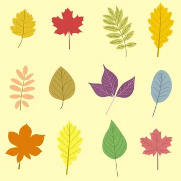 Hand drawn elements. Botanical leaves, flower. Seasonal banner. September fal Stock Illustration