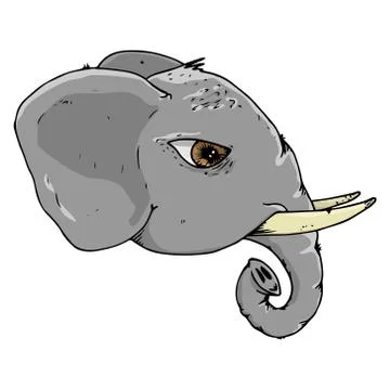 Hand drawn elephant head. Stock Illustration