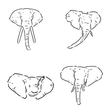 Hand-drawn Elephant. Vector editable stroke. African elephant, vector sketch Stock Illustration