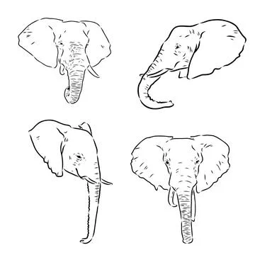 Hand-drawn Elephant. Vector editable stroke. African elephant, vector sketch Stock Illustration