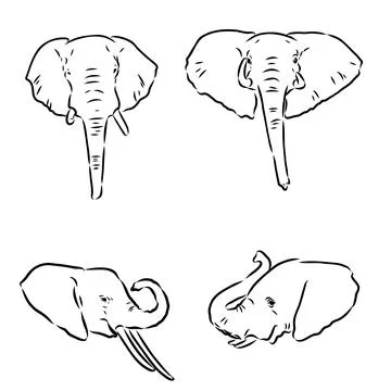 Hand-drawn Elephant. Vector editable stroke. African elephant, vector sketch Illustrazione stock