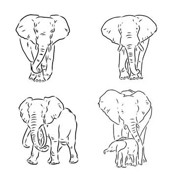 Hand-drawn Elephant. Vector editable stroke. African elephant, vector sketch 스톡 일러스트