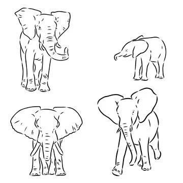 Hand-drawn Elephant. Vector editable stroke. African elephant, vector sketch Stock Illustration