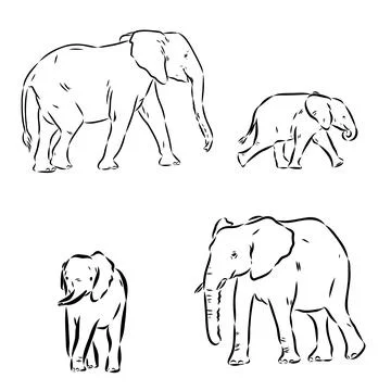 Hand-drawn Elephant. Vector editable stroke. African elephant, vector sketch 스톡 일러스트