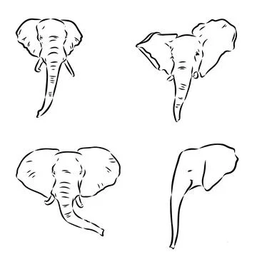 Hand-drawn Elephant. Vector editable stroke. African elephant, vector sketch 스톡 일러스트
