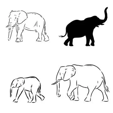 Hand-drawn Elephant. Vector editable stroke. African elephant, vector sketch Stock Illustration