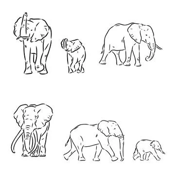 Hand-drawn Elephant. Vector editable stroke. African elephant, vector sketch Stock Illustration