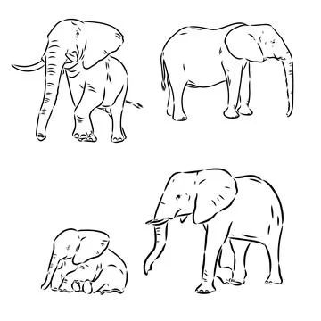 Hand-drawn Elephant. Vector editable stroke. African elephant, vector sketch Stock Illustration