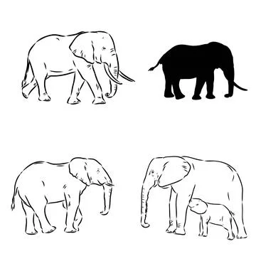 Hand-drawn Elephant. Vector editable stroke. African elephant, vector sketch Stock Illustration