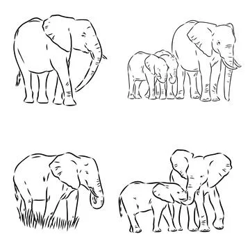 Hand-drawn Elephant. Vector editable stroke. African elephant, vector sketch 스톡 일러스트