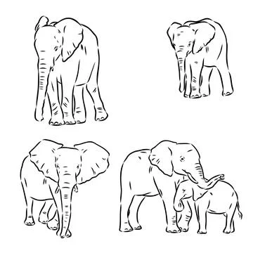 Hand-drawn Elephant. Vector editable stroke. African elephant, vector sketch 스톡 일러스트