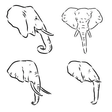 Hand-drawn Elephant. Vector editable stroke. African elephant, vector sketch Stock Illustration