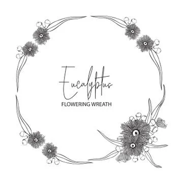 Hand drawn Eucalyptus Flowering Round Wreath Stock Illustration