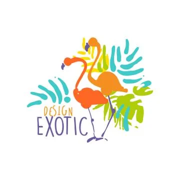 Hand drawn exotic logo template with couple of flamingo birds Illustration