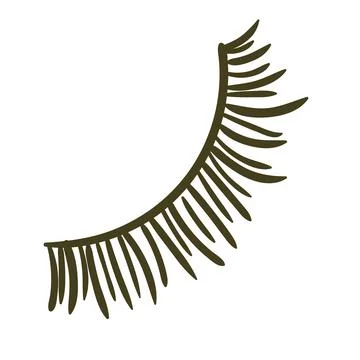 Hand-Drawn eyeslashes. Flat vector illustration. Make up Stock Illustration