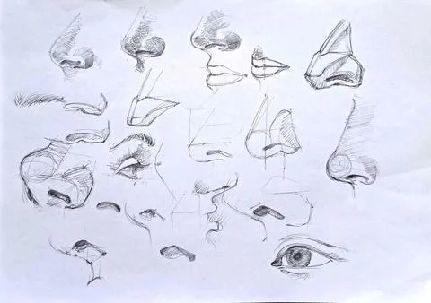 Hand-drawn face features drawing concept series 库存插图