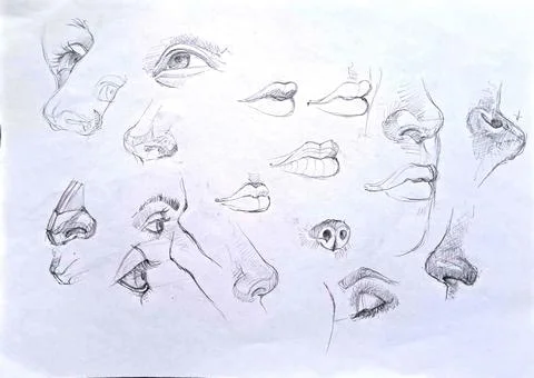 Hand-drawn face features drawing  concept series Stock Illustration