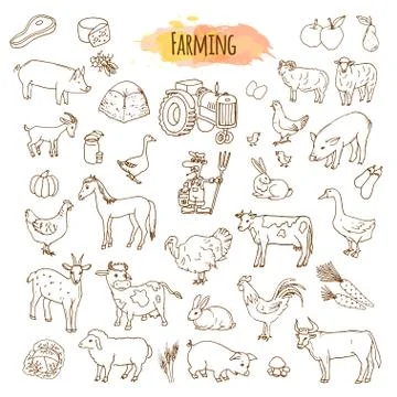 Hand drawn farm elements. Farming tools and animals Stock Illustration