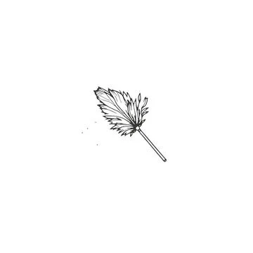Hand Drawn Feather Duster Illustration On White Background Stock Illustration
