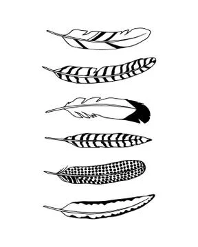 Hand drawn feather Stock Illustration