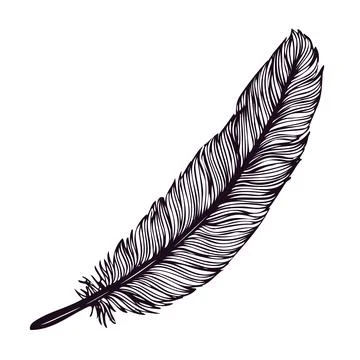 Hand drawn feather isolated on white background. Stock Illustration