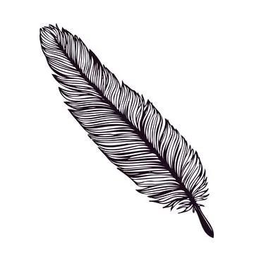Hand drawn feather isolated on white background. Stock Illustration