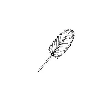 Hand Drawn Feather Line Art On White Background Stock Illustration