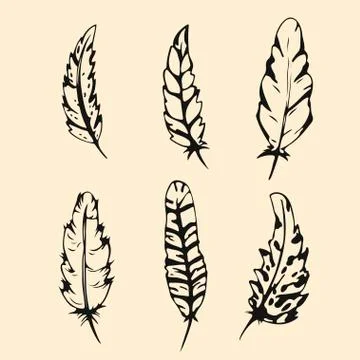 Hand drawn Feather set. Outline silhouette feather vector illustration Stock Illustration