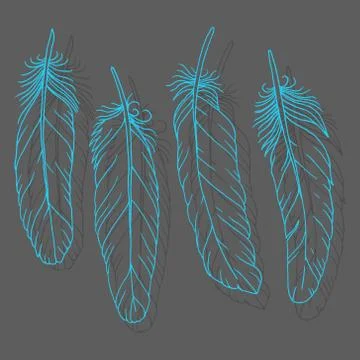 Hand drawn feathers set on dark background Stock Illustration