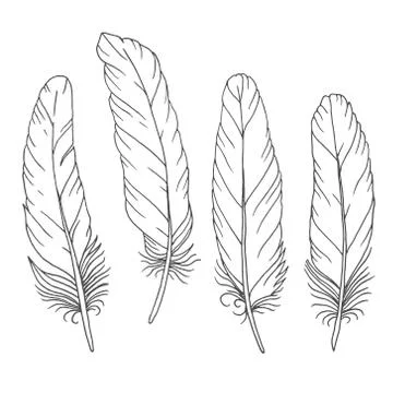 Hand drawn feathers set on white background Stock Illustration