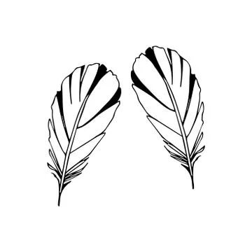 Hand drawn feathers set on white background Stock Illustration