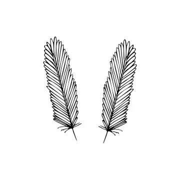 Hand drawn feathers set on white background Stock Illustration