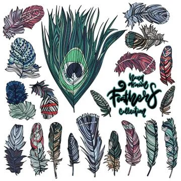 Hand drawn feathers vector design collection. Stock Illustration