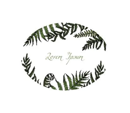 Hand drawn fern leaf Stock Illustration