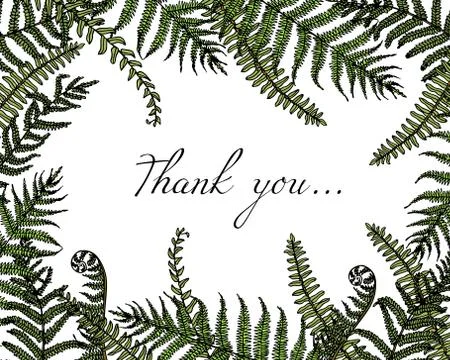 Hand drawn fern leaf Stock Illustration