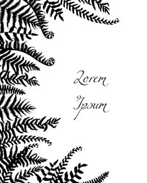 Hand drawn fern leaf Stock Illustration