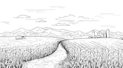 Hand drawn field landscape. Corn farm sketch with rural house and silos. Pencil Stock Illustration