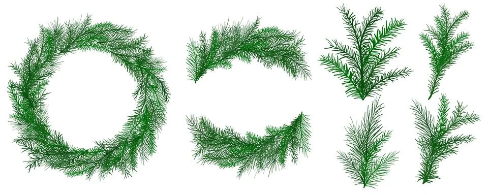 Hand drawn fir set includes wreath, frame, twigs and bunches of fir and pine Stock Illustration