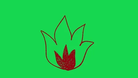 Hand Drawn Fire Flame Animation on Green Screen Burning Hot Energy Video Overlay Stock Footage 334608623