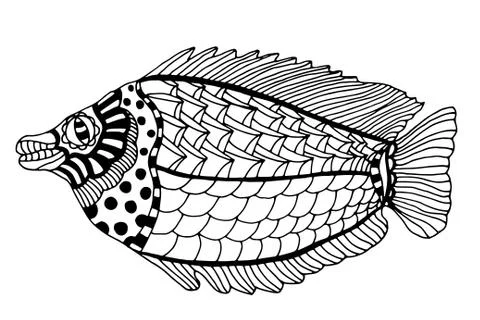 Hand Drawn Fish Illustrazione stock