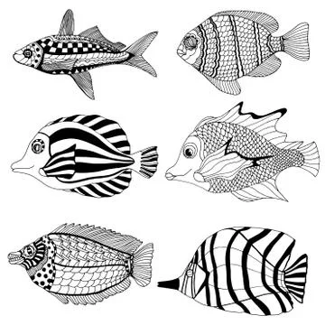 Hand Drawn Fish Illustrazione stock