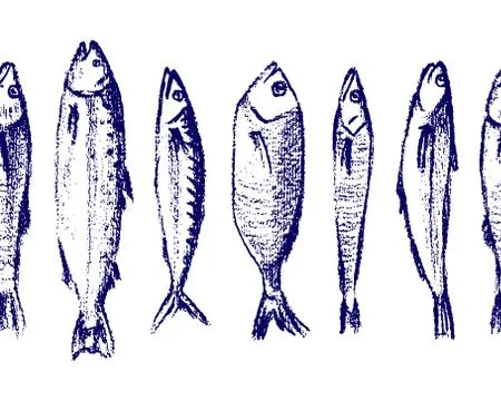 Hand drawn fish pattern Stock Illustration
