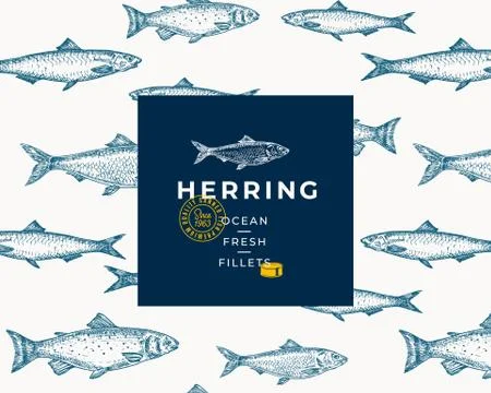 Hand Drawn Fish Vector Background Pattern. Abstract Package Sketch Card or Cover Stock Illustration