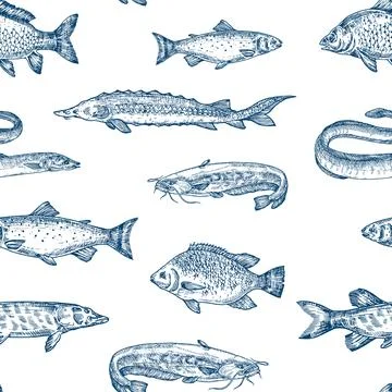 Hand Drawn Fish Vector Seamless Pattern Background. Fresh Water Trout, Sturgeon Illustrazione stock
