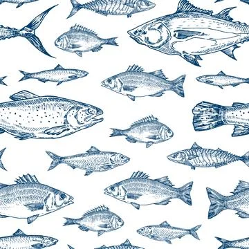 Hand Drawn Fish Vector Seamless Pattern Background. Ocean Tuna, Salmon, Mackerel Stock Illustration