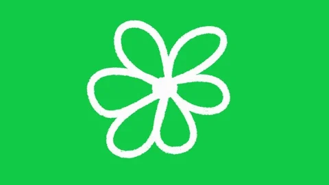 Hand Drawn Five Petal Daisy Flower 2D Animation on Green Screen Vidéo 336578815