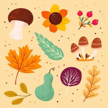 Hand drawn flat autumn elements collection Stock Illustration
