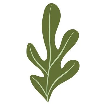 Hand Drawn Flat Doodle Leaf. Nature Green Leaf Design Element. Stock Illustration